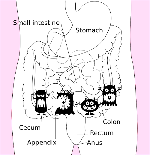abdominal massage